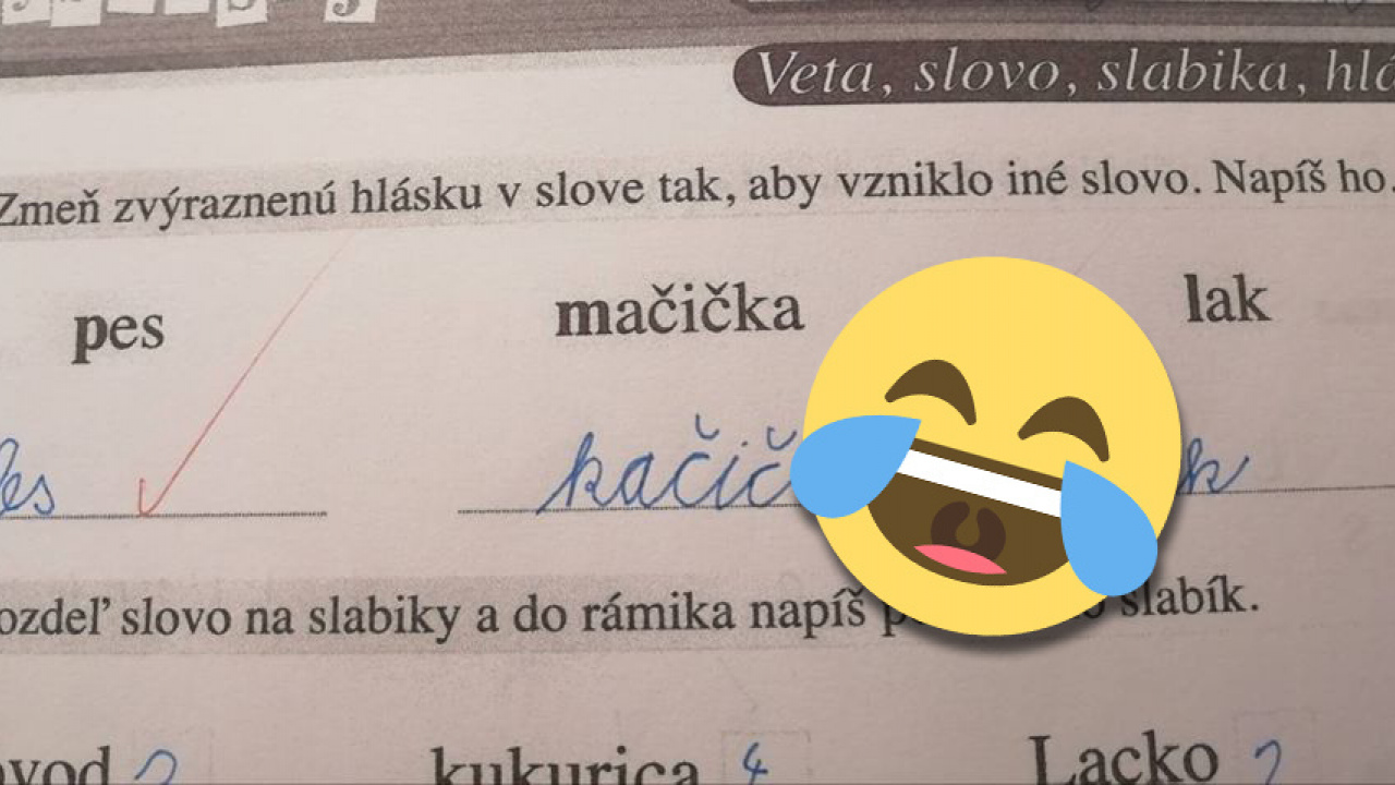 Sexy video mačička